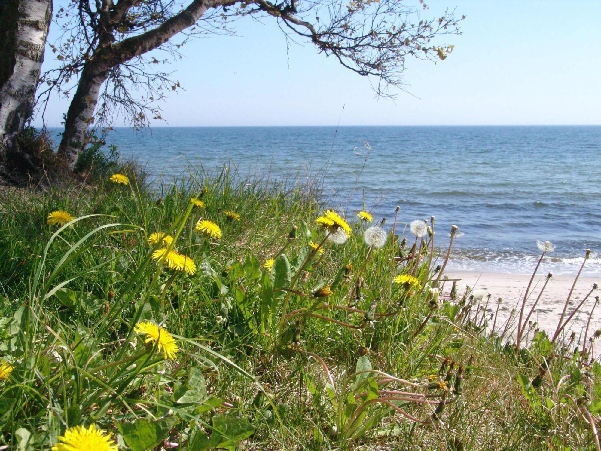 Ystad Camping Eksteriør bilde
